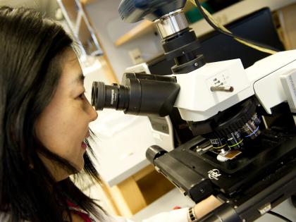 Researcher with microscope